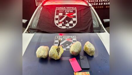 Material apreendido - 