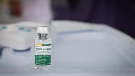 Vacina contra a dengue de dose &uacute;nica, desenvolvida pelo Instituto Butantan