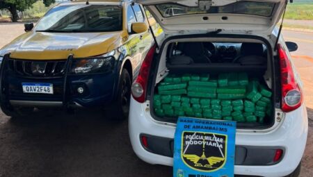 Droga apreendida - Foto: BPMRv/PMMS