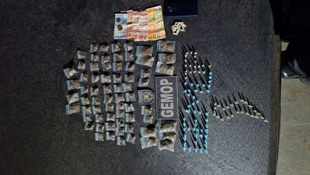 Diversos pinos de coca&iacute;na foram apreendidos