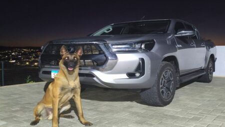 Hilux de mais de R$ 300 mil, fruto de estelionato, &eacute; recuperada pela Pol&iacute;cia Civil