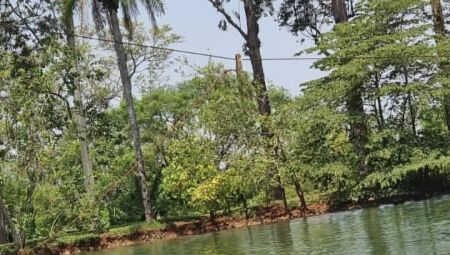 Local onde aconteceu o fato