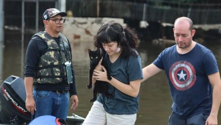 O foco &eacute; a redu&ccedil;&atilde;o da mortalidade de animais dom&eacute;sticos