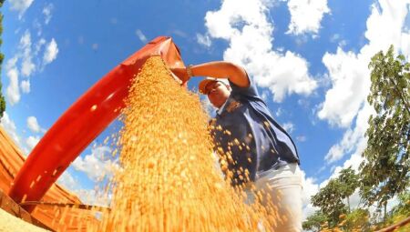 Colheita de soja pode bater recorde
