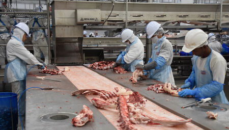 O abate de bovinos e de su&iacute;nos somaram mais de 2,6 mil novos postos de trabalho