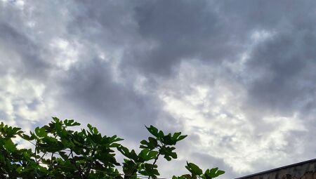 Tempo amanheceu nublado em Campo Grande