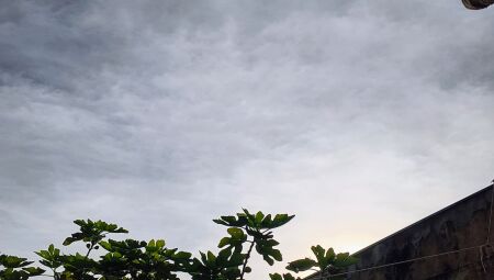 C&eacute;u amanheceu meio nublado, mas com sol