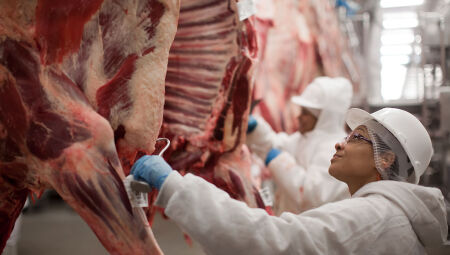 Dados da Secretaria de Com&eacute;rcio Exterior (Secex) indicam que o Brasil exportou 258,94 mil toneladas de carne bovina em janeiro.