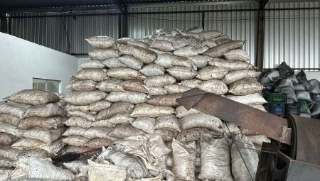 Carvoaria estava irregular no local