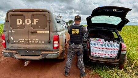 Cigarros foram apreendidos e levados para a Receita Federal