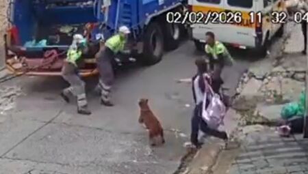 V&Iacute;DEO: Pitbull arranca dedo dedo de coletor de lixo durante ataque 