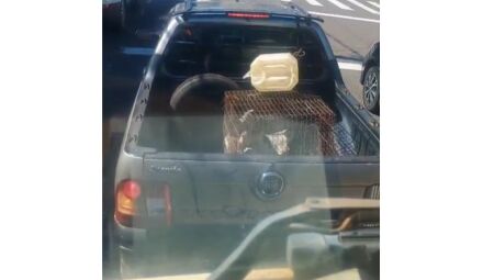 Foto: Reprodu&ccedil;&atilde;o