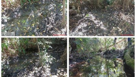 Locais degradados - Foto: Reprodu&ccedil;&atilde;o / Processo
