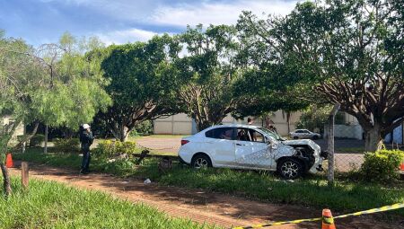 Carro se chocou contra uma &aacute;rvore