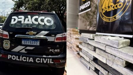 Divulga&ccedil;&atilde;o DRACCO