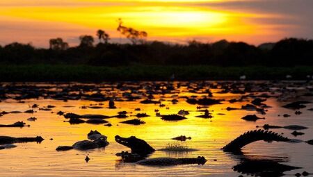 Cristian Dimitrius/NatGeo  
