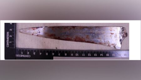 Faca apreendida - Foto: Reprodu&ccedil;&atilde;o / Processo