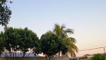 Dia amanheceu sem nuvens em Campo Grande