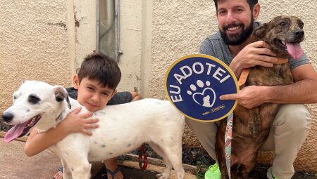 Atualmente, oito animais est&atilde;o dispon&iacute;veis e aguardam um novo lar