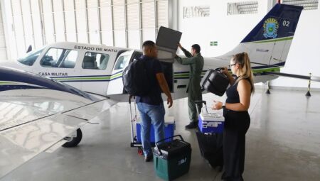 Al&eacute;m da log&iacute;stica, o trabalho tamb&eacute;m refor&ccedil;a a import&acirc;ncia da doa&ccedil;&atilde;o de &oacute;rg&atilde;os