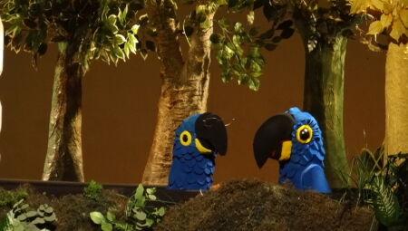 Semana cultural re&uacute;ne concerto, cinema, m&uacute;sica, dan&ccedil;a e teatro infantil no Sesc Teatro Prosa