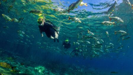 Flutua&ccedil;&atilde;o em MS &eacute; finalista de pr&ecirc;mio