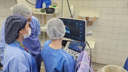 Foto: Divulga&ccedil;&atilde;o