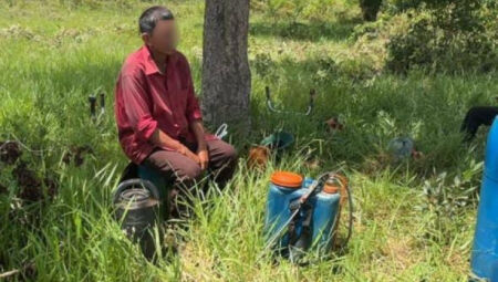 Opera&ccedil;&atilde;o no Pantanal resgata 12 trabalhadores e garante R$ 1,9 milh&atilde;o em indeniza&ccedil;&otilde;es