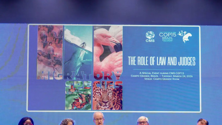 COP15 est&aacute; sendo realizada em Campo Grande