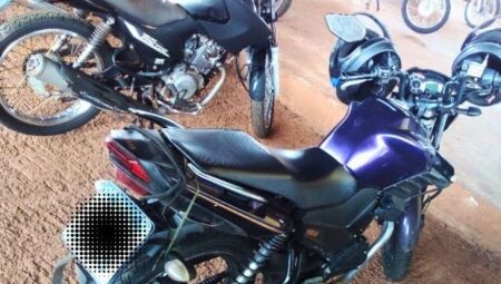 O leil&atilde;o ser&aacute; realizado de forma totalmente digital