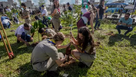 Ao todo, foram plantadas 250 mudas 