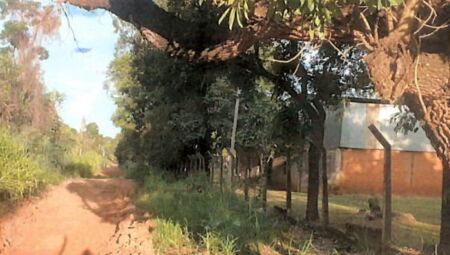 FOTO: REPRODU&Ccedil;&Atilde;O / PROCESSO