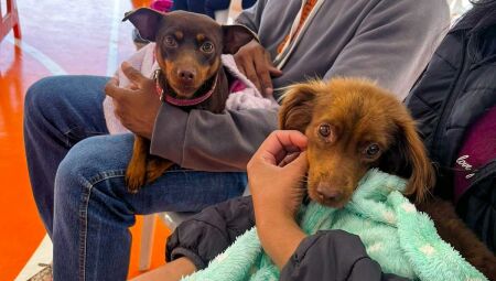 Foto: Divulga&ccedil;&atilde;o