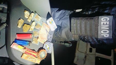 Drogas apreendidas pela equipe do Gemop