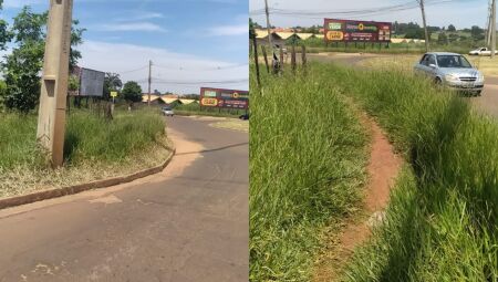 Poda incompleta gera reclama&ccedil;&atilde;o de pedestres na Avenida Guaicurus
