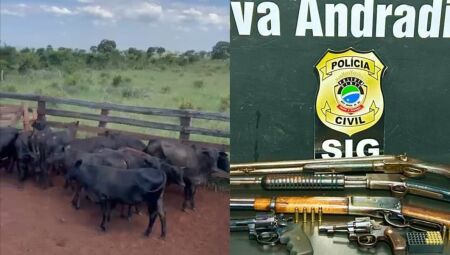 Pol&iacute;cia recupera gado furtado e apreende armas em Nova Andradina
