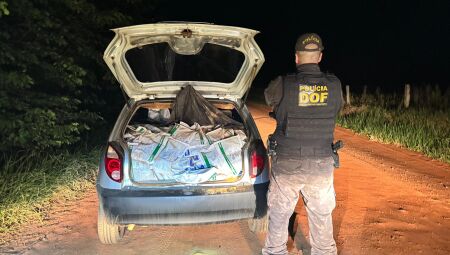 Produtos foram recolhidos pelo DOF