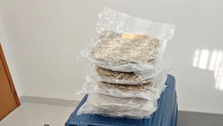 Drogas foram apreendidas