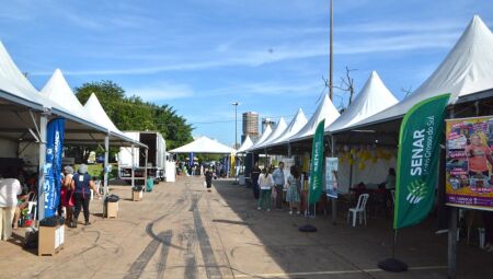 A iniciativa &eacute; considerada uma das principais a&ccedil;&otilde;es ambientais do munic&iacute;pio