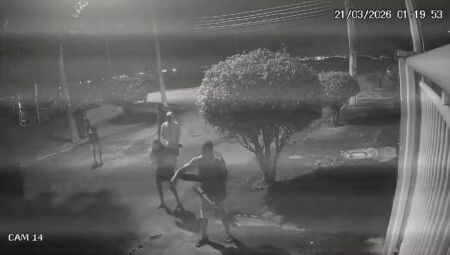 Grupo agride capivara com paus e pedras no Rio de Janeiro
