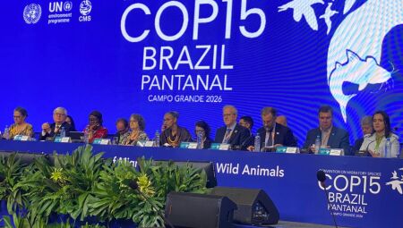 Governador integra abertura do evento - Foto: JD1