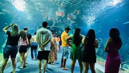 O Bioparque conquistou a certifica&ccedil;&atilde;o internacional ouro de sustentabilidade da Green Destinations