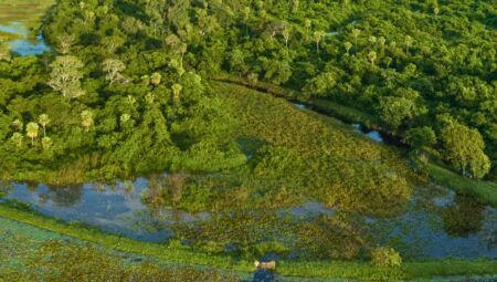 O objetivo &eacute; fortalecer crit&eacute;rios ambientais