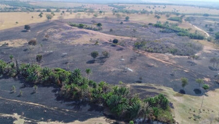Area atingida pelo inc&ecirc;ndio