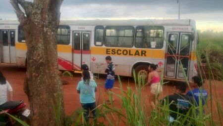 V&iacute;tima faleceu logo ap&oacute;s ser atropelada por um &ocirc;nibus