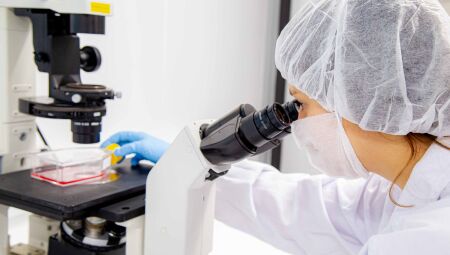 Com pele artificial, pesquisa simula efeitos da menopausa e envelhecimento