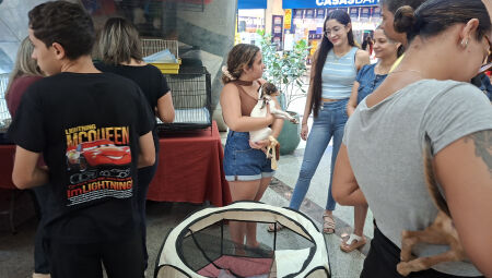 Foto: Divulga&ccedil;&atilde;o