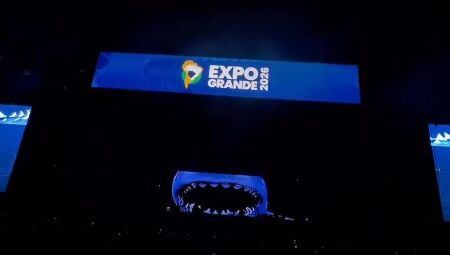 Domingo tem feira, festa e Expogrande em Campo Grande