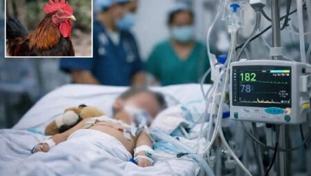 Ataque teria acontecido dias antes; &oacute;bito foi confirmado nesta ter&ccedil;a-feira (14). 