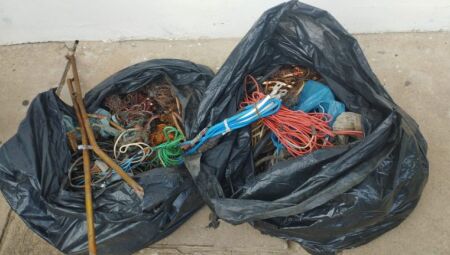 Ao todo, 14 estabelecimentos foram fiscalizados.